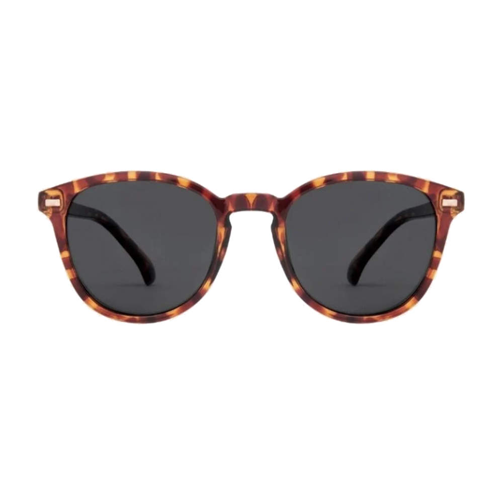 Carve Oslo Sunglasses Tort Grey Polarized
