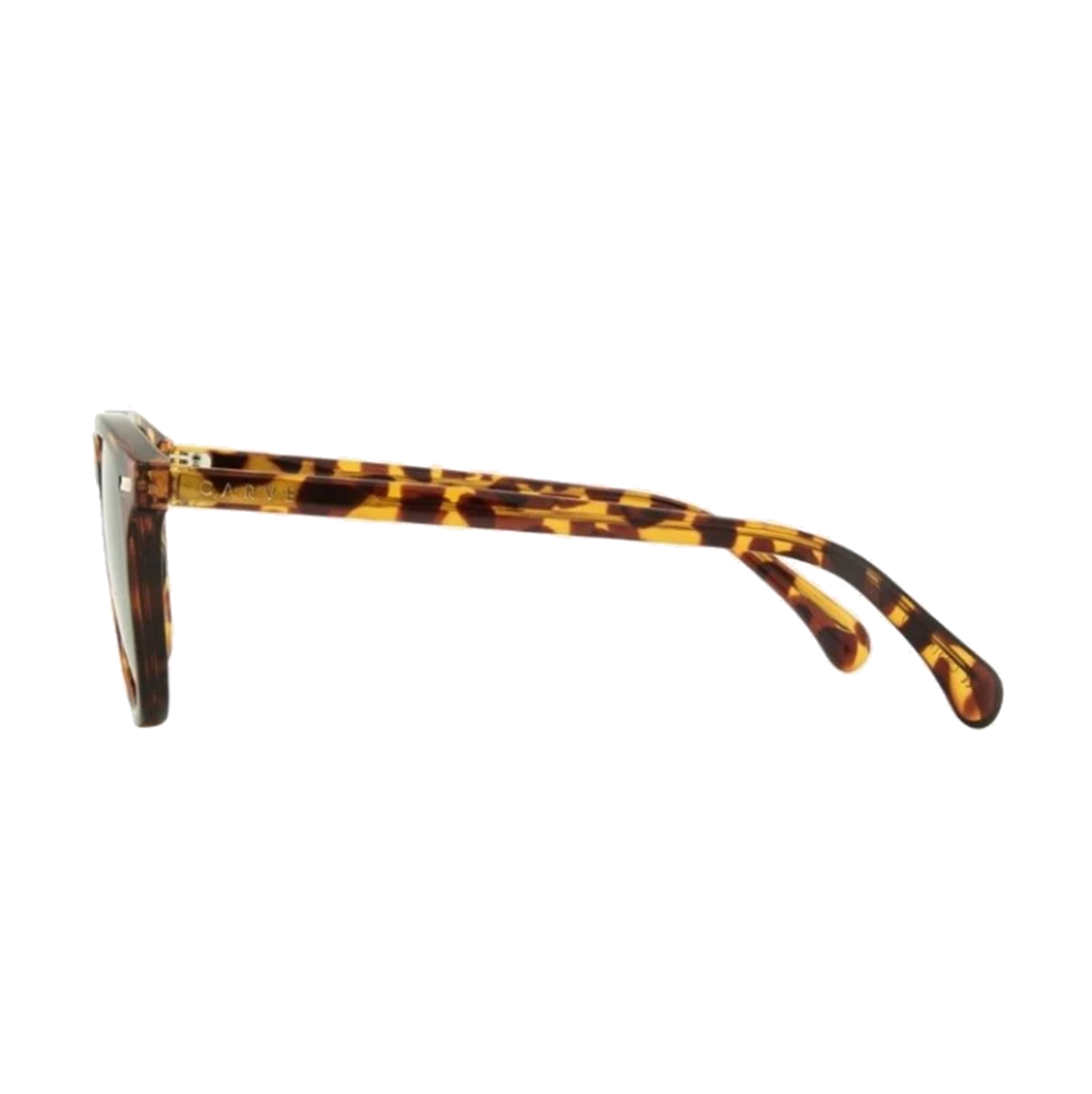 Carve Oslo Sunglasses Tort Grey Polarized