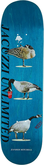 JACUZZI MITCHELL GEESE SKATEBOARD DECK 8.25 TEAL EX7
