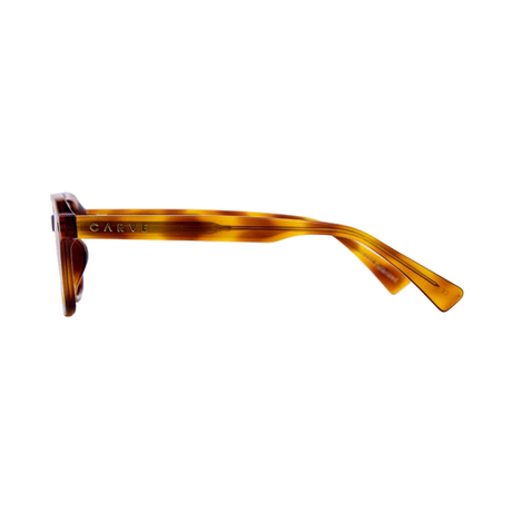 Carve Del Ray Sunglasses Tort Brown Gradient Polarized