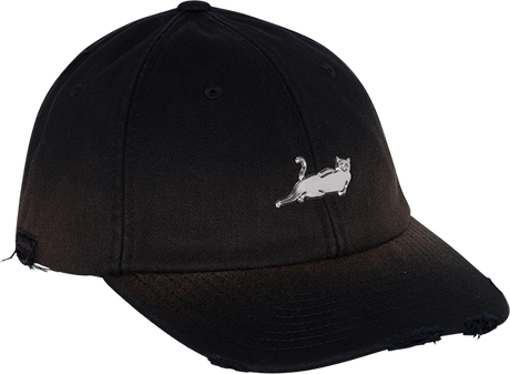 RIP N DIP CATSTANZA DAD HAT ADJ BLACK WASH
